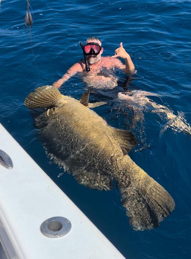 Goliath Grouper Trip
