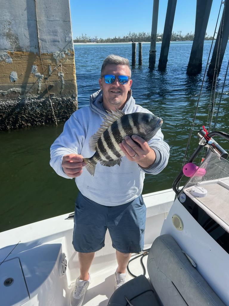 Sheepshead