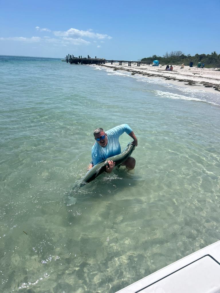 Tarpon