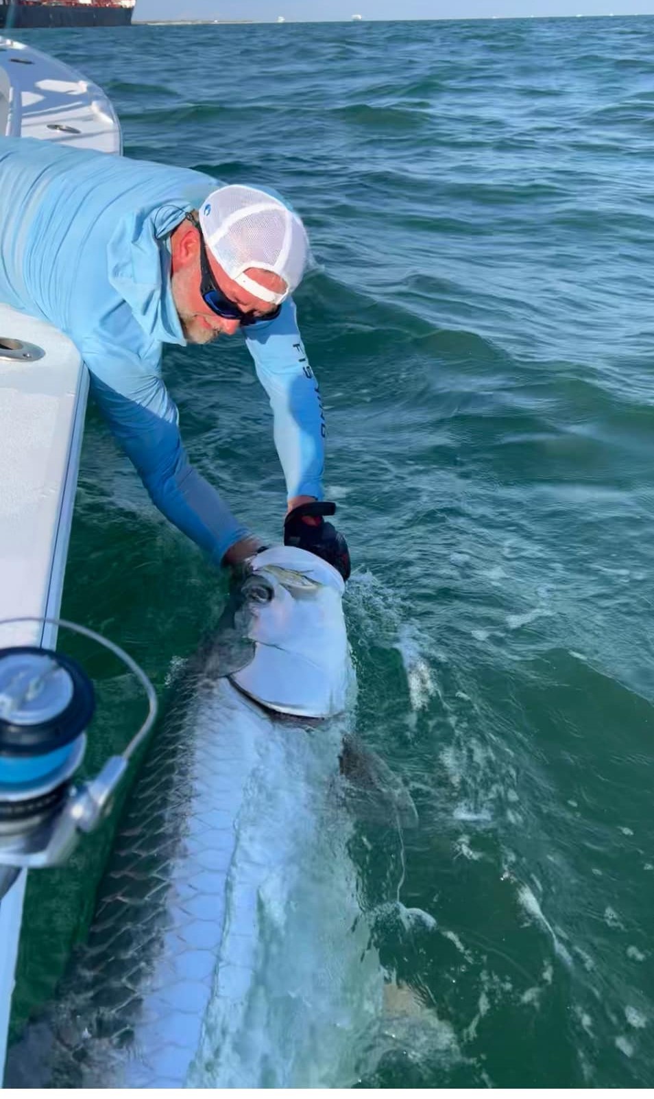 Tarpon